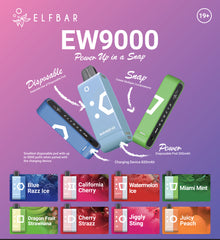 Elf Bar EW9000 Starter Kit